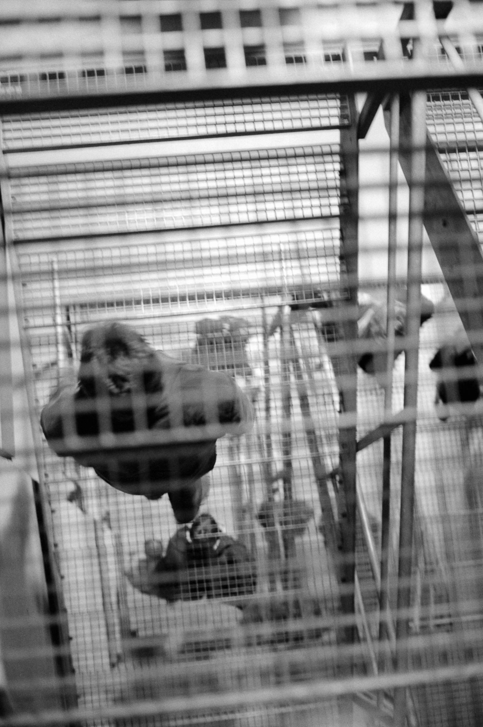 AHP F1994 11 005 sc250521 img06 NLP